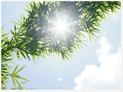 励志空间说说：承载了太多的期许目光。怎敢轻易辜负
