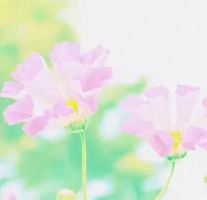 早安心语心情说说