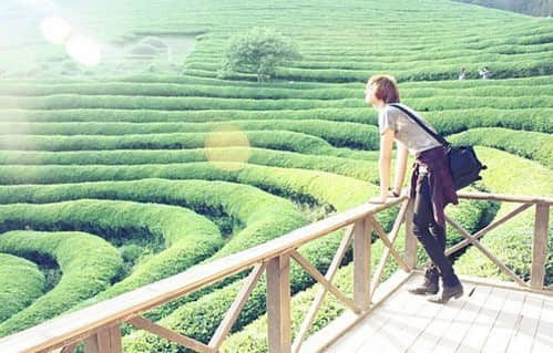 幸福不是一个地点。而是一个方向