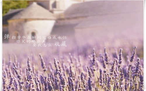 带图片的经典伤感说说大全