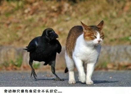 经典搞笑的一句话