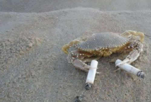 你们班上有没有这样的奇葩！