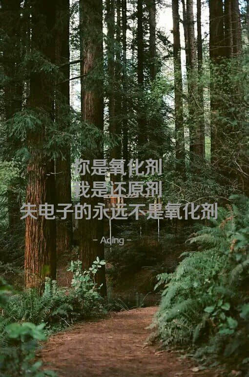 带字的伤感说说图片大全