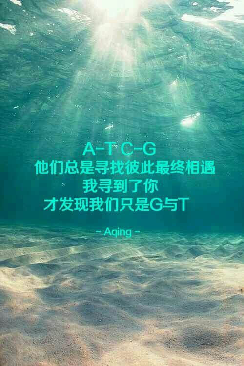 带字的伤感说说图片大全