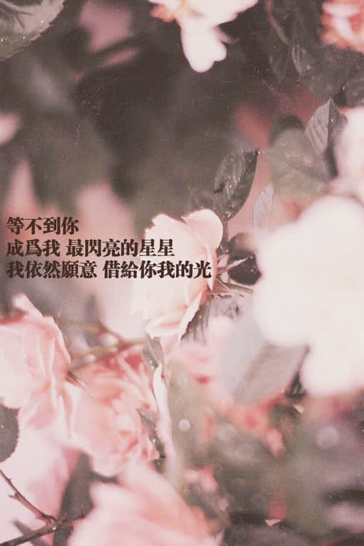 带字的伤感说说图片大全