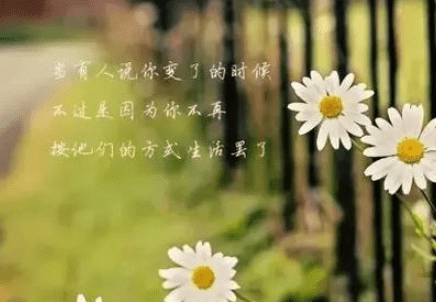 工作说说大全：工资就像大姨妈。一个月一次。一周左右就没了