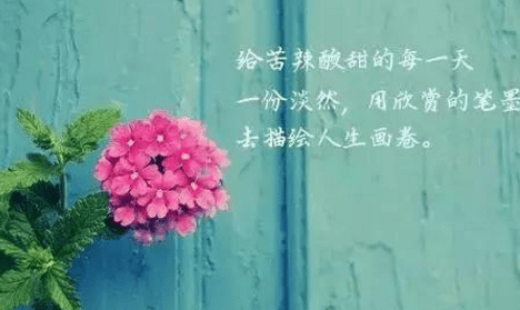 人生感悟句子经典说说分享：哭给自己听。笑给别人看。这就是所谓的人生
