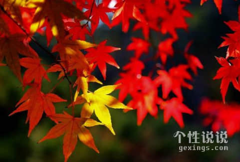 适合发朋友圈说早安的经典说说（44条）