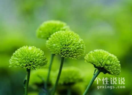 2019致自己的经典说说（64条）