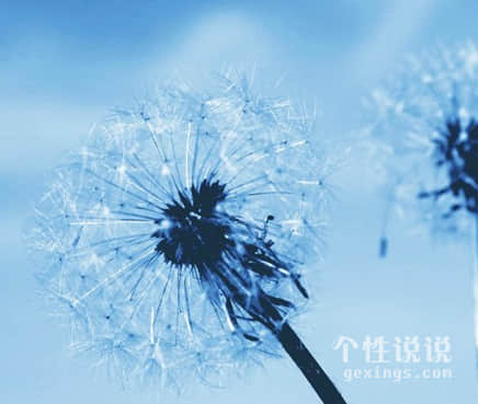 微信人生现实的经典说说（50条）