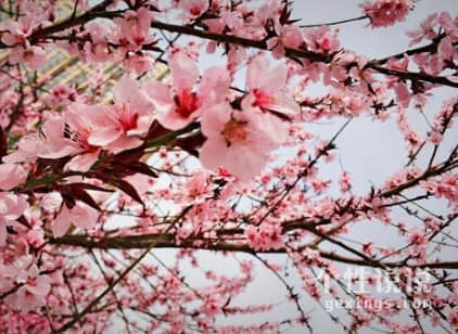 震撼到你心灵的经典说说超现实（55条）