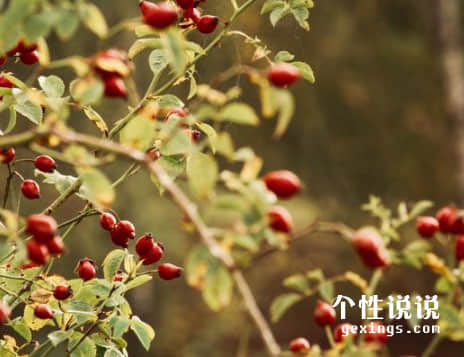 67条深刻有内涵的经典说说