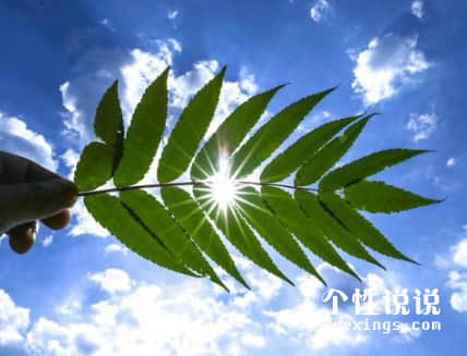 空间5月触动心灵的经典说说（53条）