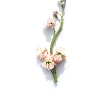 自丧自愈的经典句子（60条）