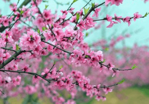 适合发朋友圈2月再见_3月你好的经典心情语录