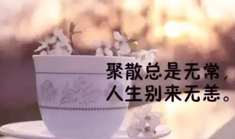 点赞率超高的经典说说：忙起来觉得什么都不缺。空下来才知道什么