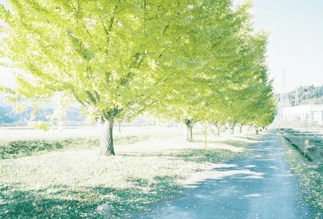 意味深长的经典说说：想忘却人生的不顺遂。那唯一的方法就是放下