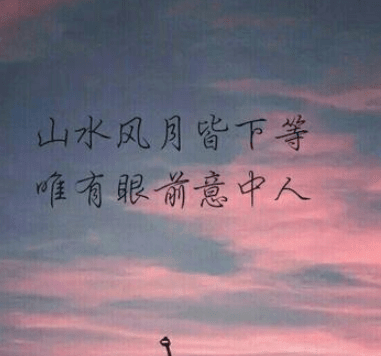 你是我的东南西北,胜过一切苍山泱水
