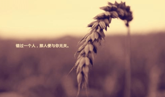 心情压抑的经典说说：如果还有如果、我们会不会永远?