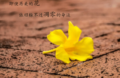 2018最新经典说说：每个人心里。都有一道坚不可摧的防线