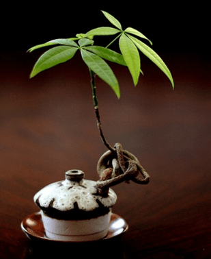 认清现实的经典说说：有时候你最想得到的人。其实是你最应该离开