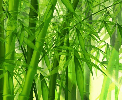 充满正能量的经典说说：孩子贫穷是做父母的错