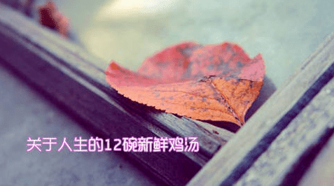 人生转瞬即逝 有勇气放弃 才有机会得到