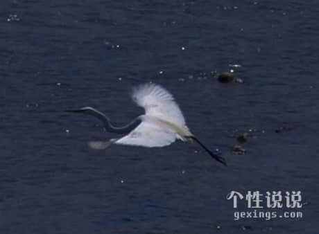心情不好想哭的伤感说说（55条）
