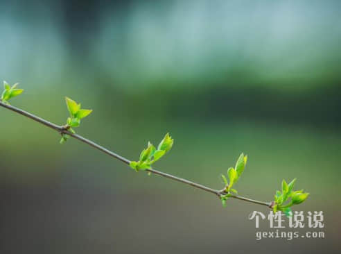 让人心疼催泪的伤感说说