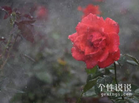 略带心酸扎心的伤感说说