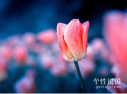 每一个字眼都打动人心的伤感说说（58条）