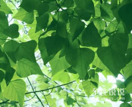 一个人无助无力改变的伤感说说（71条）