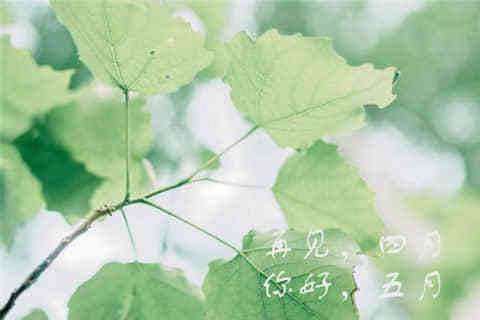 一个人说说看完哭了那种（74条）