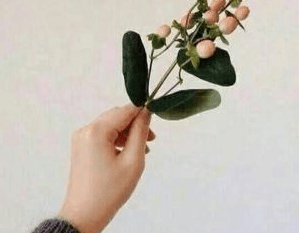 没人懂的伤感说说：我没有烟没有酒,听我说说孤独