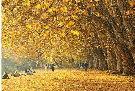 2018伤感说说大全：记住,太阳每天都是新的,别辜负了美好的晨光