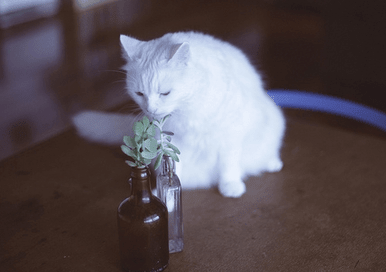 文艺的伤感说说;我怀念的是争吵以后。还是想要爱你的冲动