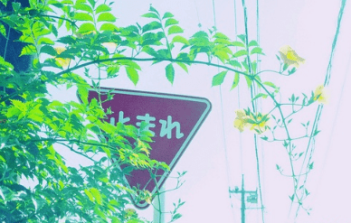 心累了的伤感说说：也许。伤得彻底。才会放得彻底