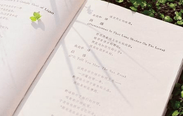 我们都在淡化这段感情。你选择新欢。我选择时间