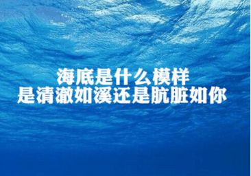 关于爱情的伤感说说：后来我总算学会了如何去爱...