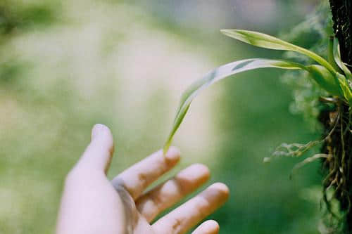 朋友圈伤感说说短句：你是我流年里不舍的温柔