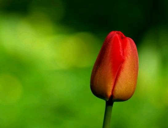 QQ空间伤感的文字语录