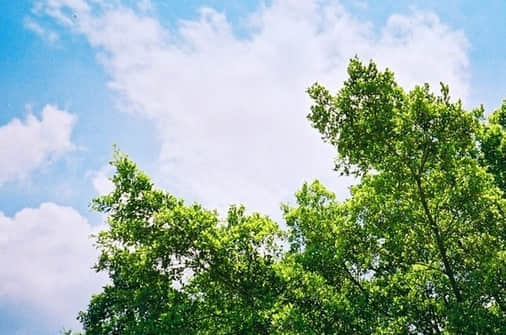 qq空间沧桑说说 抚摸着沧桑过后的疲惫