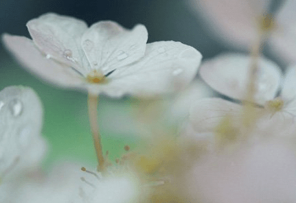 悲伤的爱情说说：在心里说晚安。尽量做到不打扰