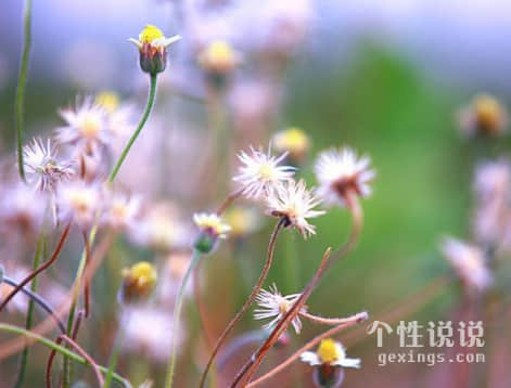 一句话诠释的爱情说说（54条）