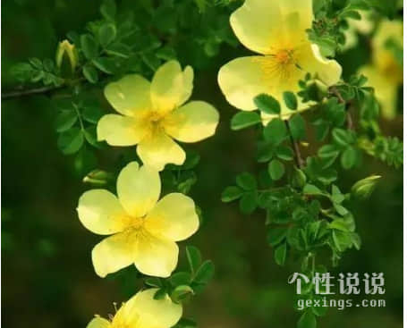 对一个人失望孤单的爱情说说（54条）