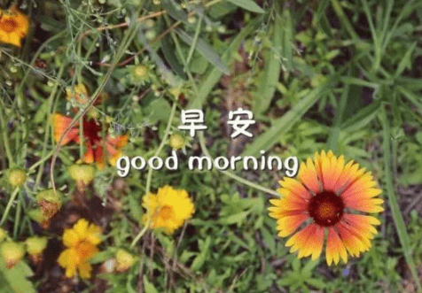 微信说说爱情短语 逼自己变得逆来顺受