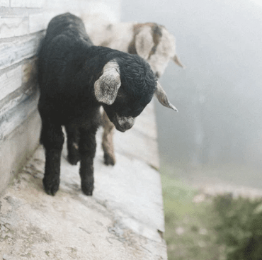 2019年微信最新的爱情说说：千秋万代。四海八荒。都只有你我。再