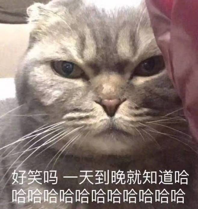 青春就像是卫生纸。没事你就少扯