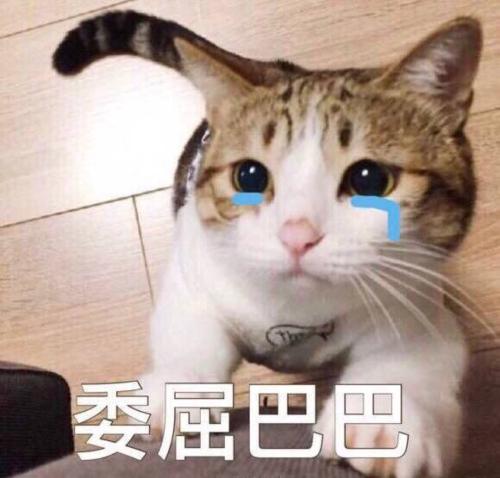 朋友圈超搞笑说说大全：天太冷了 有什么事 来我被窝里说