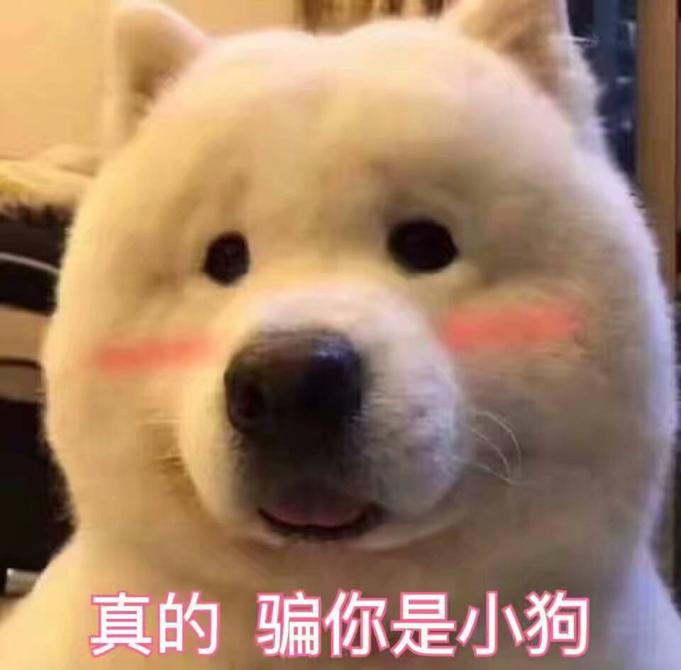抖音最幽默的说说大全  你的小可爱驾到